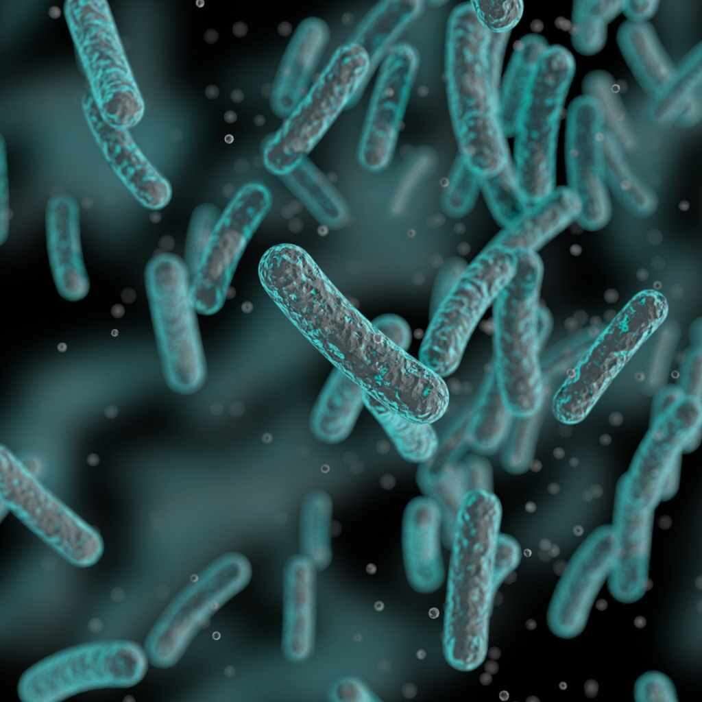 Bacteria- Free water
