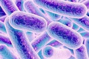 Bacteria in water